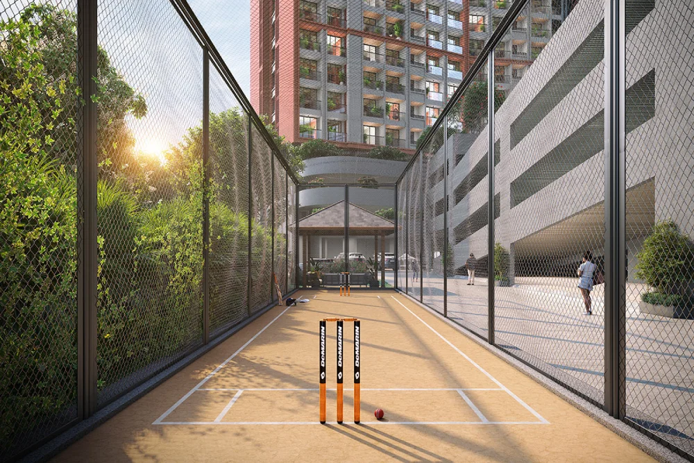 Box Cricket Pitch & Nets - Triton