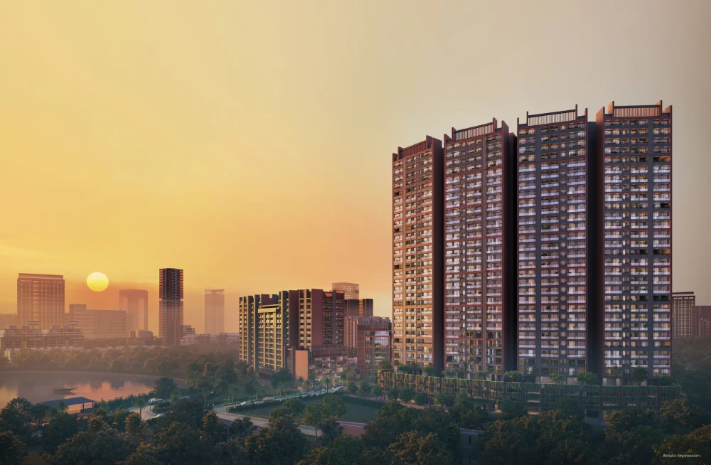 Junomoneta Evening Elevation